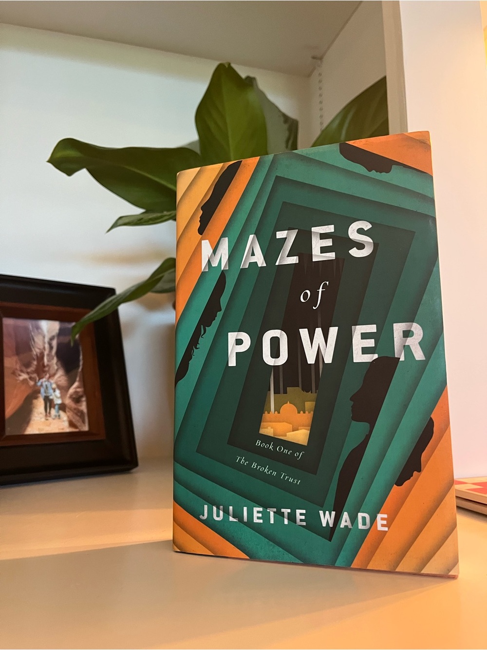 Mazes of Power Hardcover Book by Juliette Wade
